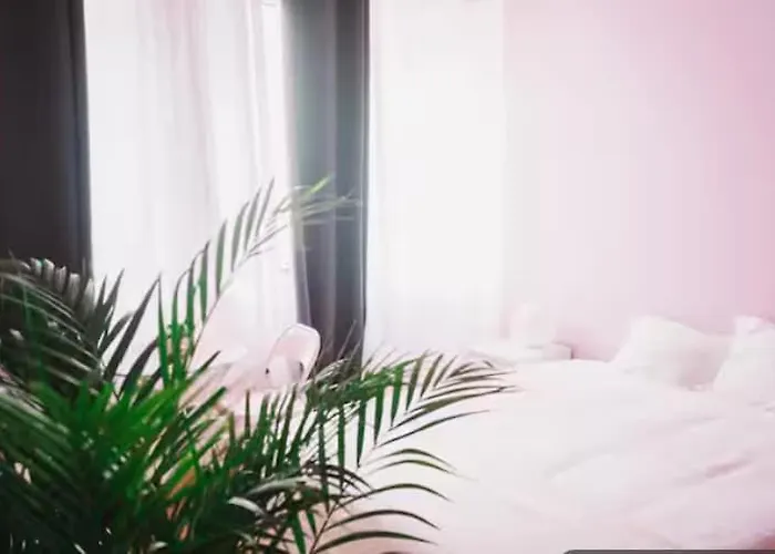 Lazy - Pinkish - Breakfast Included