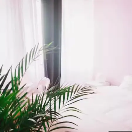 Lazy - Pinkish - Breakfast Included